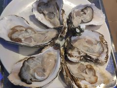 -千岛蚝高压锅生蚝·人参火锅(白云万达店)