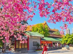 -广东圆玄道观