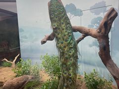 -长江文明馆
