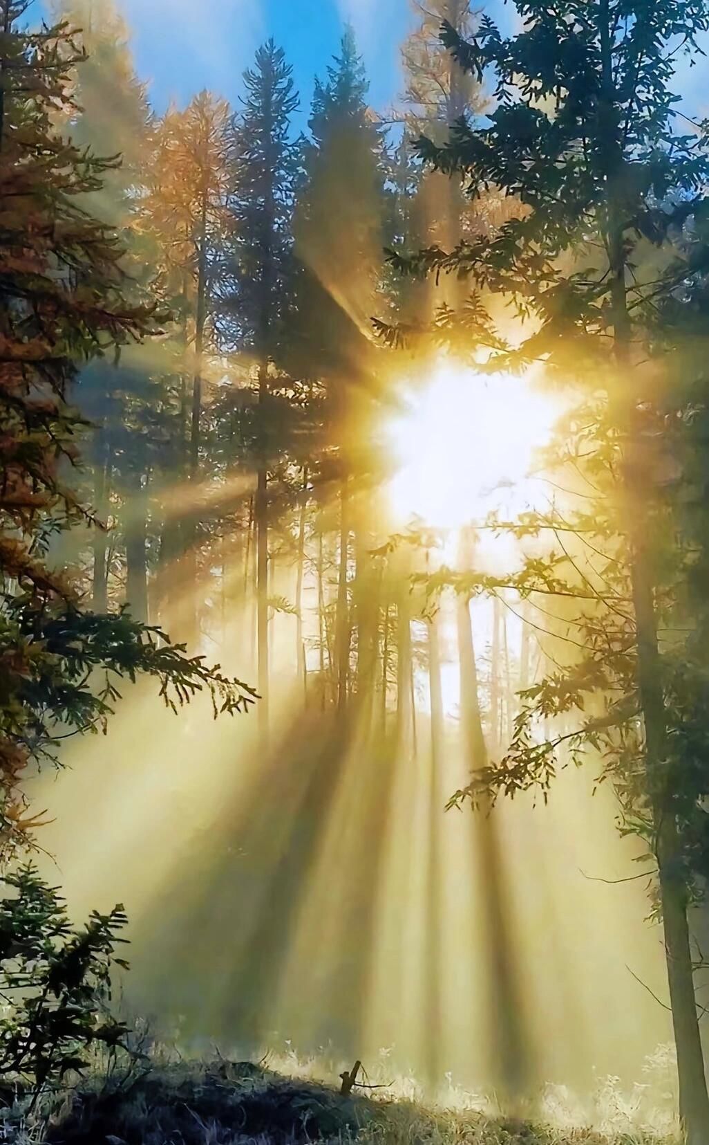 天空摄影大赛:拍太阳之丁达尔效应!