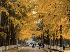 -四川大学(望江校区)
