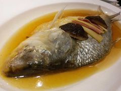 -望乡楼上海菜(日月光店)