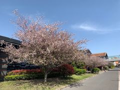 -秦皇岛路游船码头
