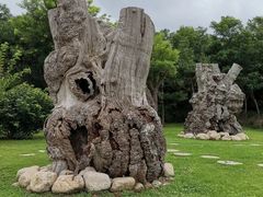 -烟台自然博物馆