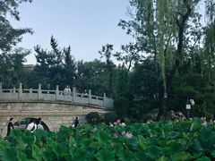 -莲湖公园
