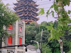 -黄鹤楼公园(黄鹤楼)