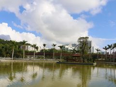 -金鸡岭桥头公园