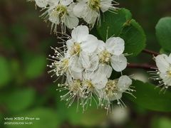 -黑龙江省森林植物园