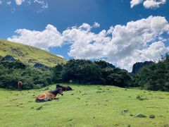 -墨石公园景区