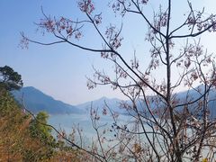 -羚羊峡古栈道森林公园