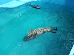 -石家庄市动物园