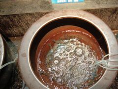 -上名堂·鱼头好吃(体育场路店)