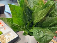 -同仁四季椰子鸡(无锡滨湖万象汇店)