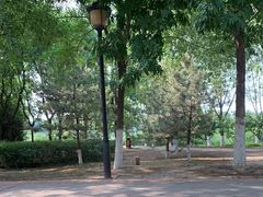 -永定河休闲森林公园