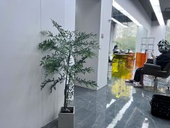 -茶发Salon·烫发染发理发