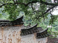 -杨家堂村