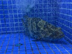 -香山湖渔家大院