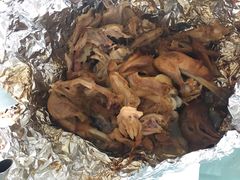 -洞背山庄(洞背院区式管理小区店)