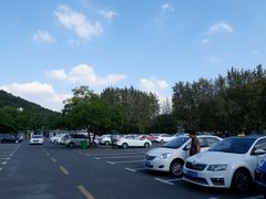 -上海佘山国家森林公园东门地面停车场
