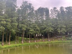 -珠海圆明新园