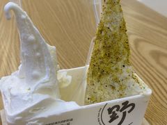 -野人先生Gelato(上海长宁龙之梦店)