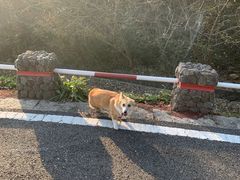 -南京市江宁方山