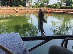 -侯臣咖啡文化村