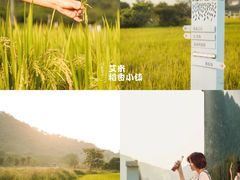 -艾米稻香小镇