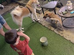 -BOCATA 西班牙餐厅(三里屯店)