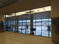 -谢列梅捷沃国际机场