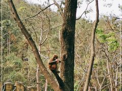 -木兰云雾山