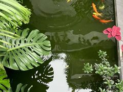 -漫笙舍Manse·咖啡·民宿