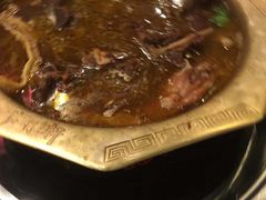 -芦月轩羊蝎子(北蜂窝店)