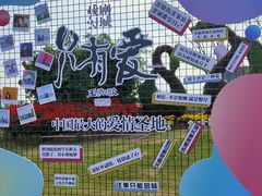 -荷兰花海