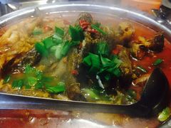 -鱼乐火锅(清江国际店)