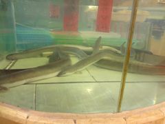DSC01196-粤香楼(新光里店)