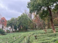 -野蔓果·山野菜(西湖景区·龙井茶田店)