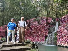 -灵栖洞天