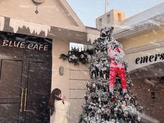 -Blue Concept Cafe&Farm·關於藍