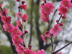 -静安雕塑公园