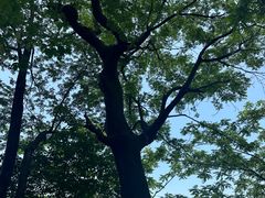 -终南山南五台景区