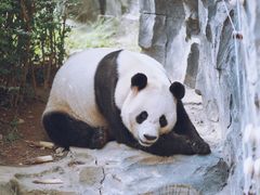 -五龙山野生动物王国
