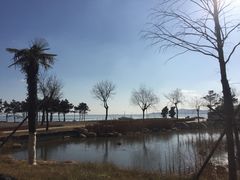 -青岛海泉湾度假区温泉