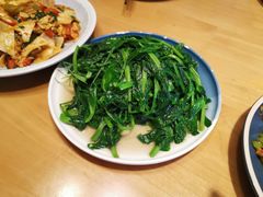清炒豌豆尖-山茶云南菜(中关村店)
