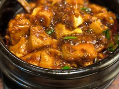 -陈麻婆豆腐(旗舰店)