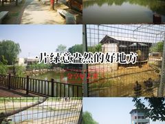 -河北村民俗体验园