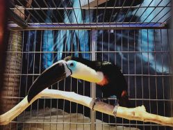 -酷嗒动物文化乐园(cutezoo西溪乐天城店)