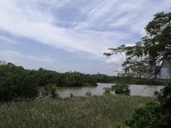 -华侨城湿地公园