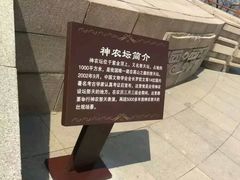 -神农山景区
