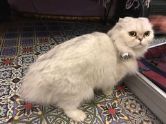 -广州迷途主题旅馆(海珠广场店)